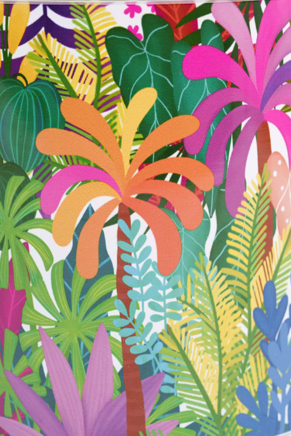 Jardin d'Oasis x Baba Gaia